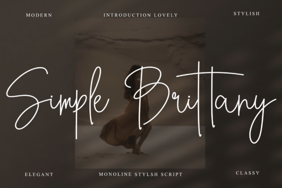 Simple Brittany Font for Web Design